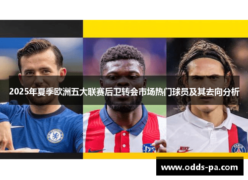 2025年夏季欧洲五大联赛后卫转会市场热门球员及其去向分析