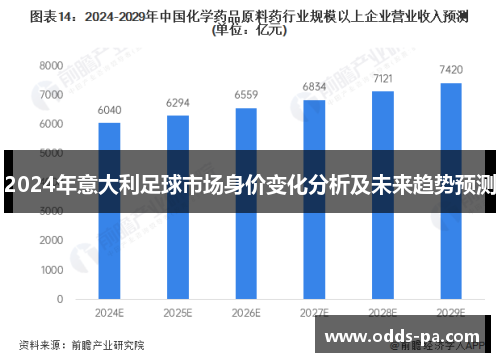 2024年意大利足球市场身价变化分析及未来趋势预测
