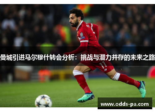 曼城引进马尔穆什转会分析:挑战与潜力并存的未来之路 曼城引进马尔穆什转会分析:挑战与潜力并存的未来之路