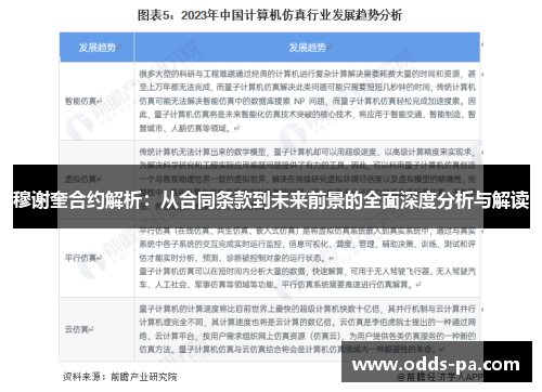 穆谢奎合约解析：从合同条款到未来前景的全面深度分析与解读