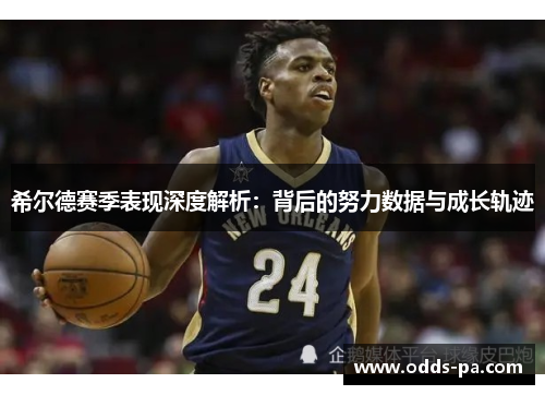 希尔德赛季表现深度解析：背后的努力数据与成长轨迹