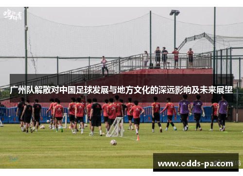 广州队解散对中国足球发展与地方文化的深远影响及未来展望