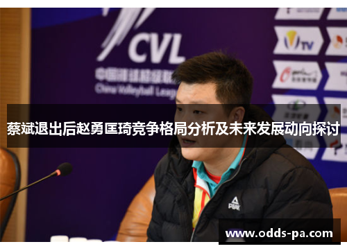 蔡斌退出后赵勇匡琦竞争格局分析及未来发展动向探讨 蔡斌退出后赵勇匡琦竞争格局分析及未来发展动向探讨