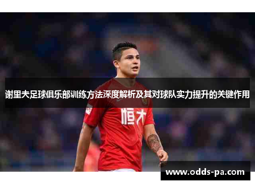 谢里夫足球俱乐部训练方法深度解析及其对球队实力提升的关键作用