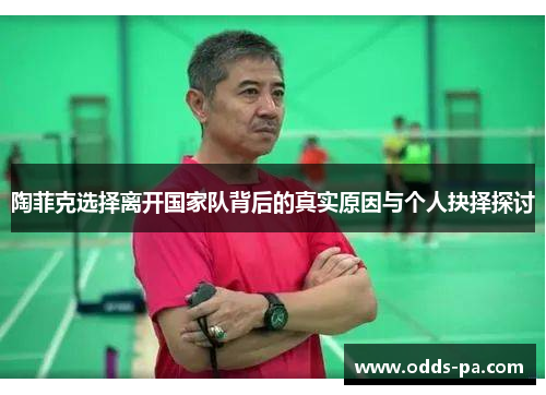 陶菲克选择离开国家队背后的真实原因与个人抉择探讨
