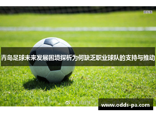 青岛足球未来发展困境探析为何缺乏职业球队的支持与推动