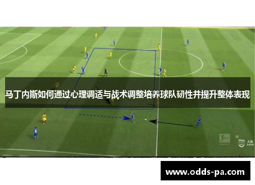 马丁内斯如何通过心理调适与战术调整培养球队韧性并提升整体表现 马丁内斯如何通过心理调适与战术调整培养球队韧性并提升整体表现