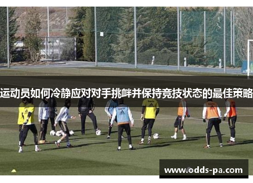 运动员如何冷静应对对手挑衅并保持竞技状态的最佳策略
