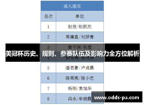 美冠杯历史、规则、参赛队伍及影响力全方位解析