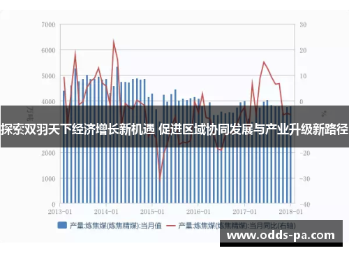 探索双羽天下经济增长新机遇 促进区域协同发展与产业升级新路径