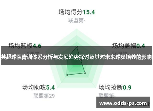 英超球队青训体系分析与发展趋势探讨及其对未来球员培养的影响