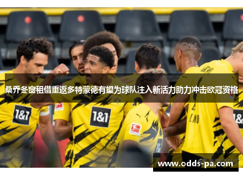 桑乔冬窗租借重返多特蒙德有望为球队注入新活力助力冲击欧冠资格